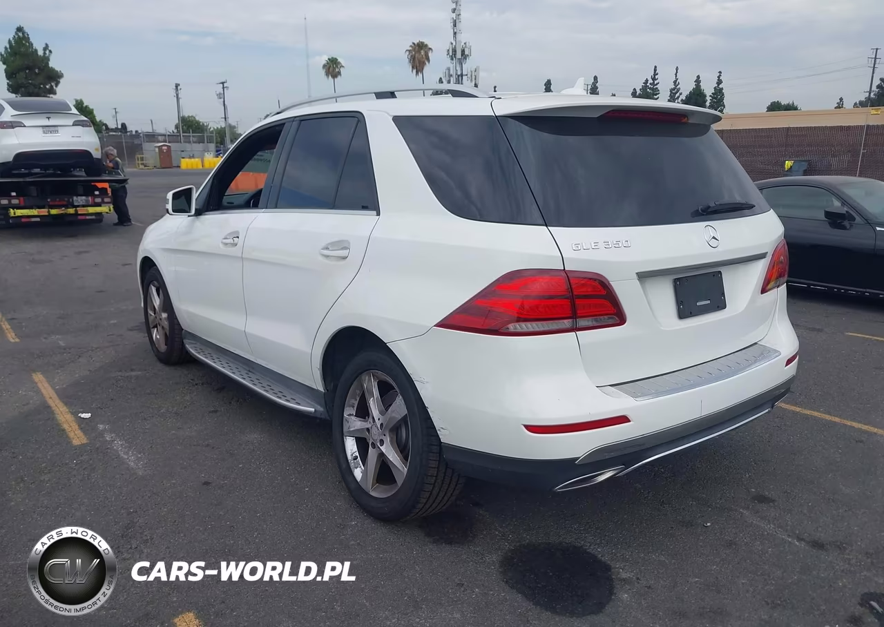 2017 Mercedes-Benz Gle 350 VIN:4JGDA5JB2HA835501 - 3