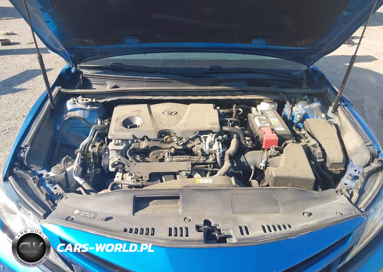 2018 Toyota Camry Xse VIN:4T1B61HK0JU113648 - 10
