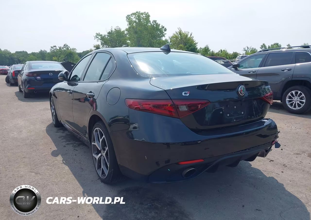 2019 Alfa Romeo Giulia Sport Awd VIN:ZARFANAN4K7606769 - 3