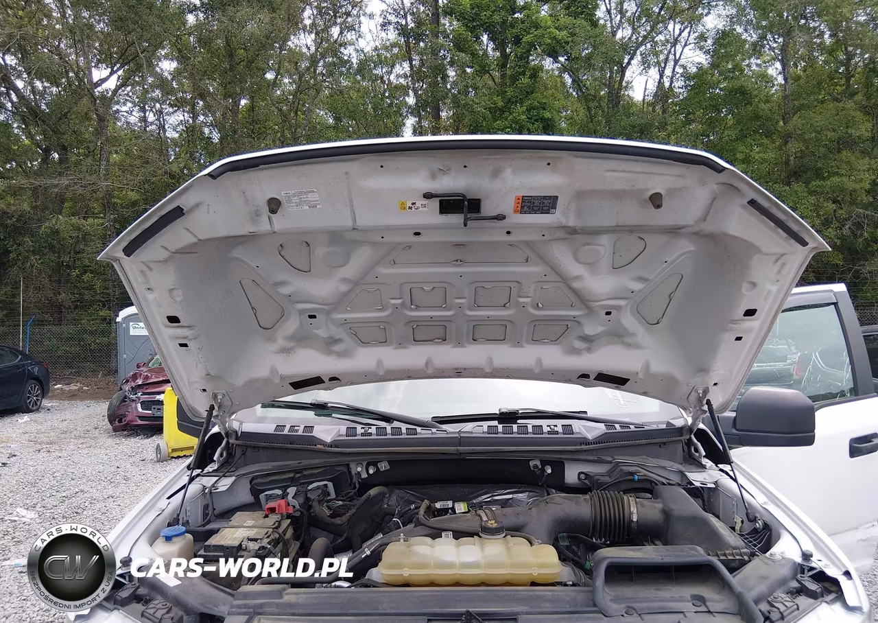 2019 Ford F-150 Xl VIN:1FTEW1EP9KFC29972 - 10