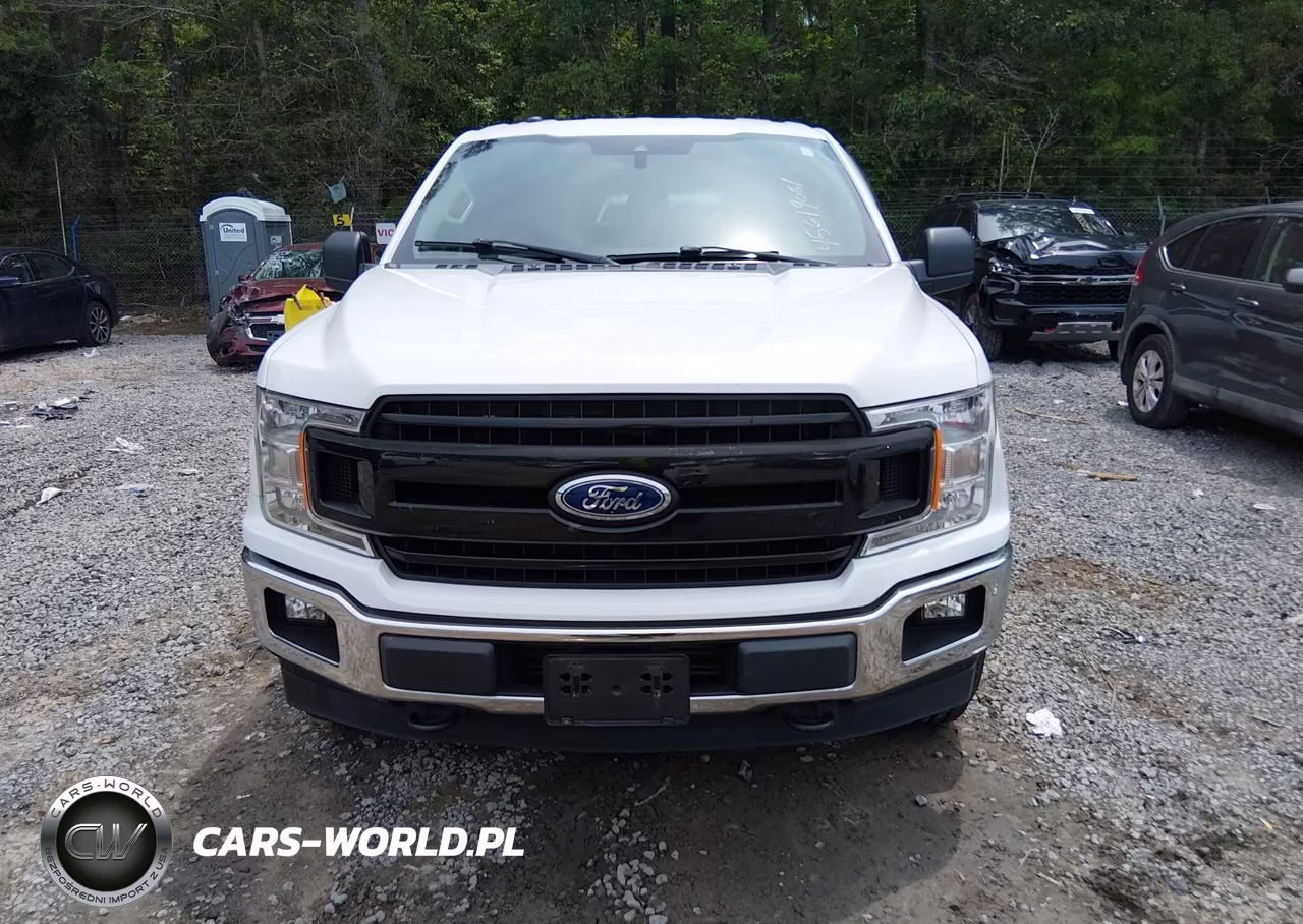 2019 Ford F-150 Xl VIN:1FTEW1EP9KFC29972 - 12