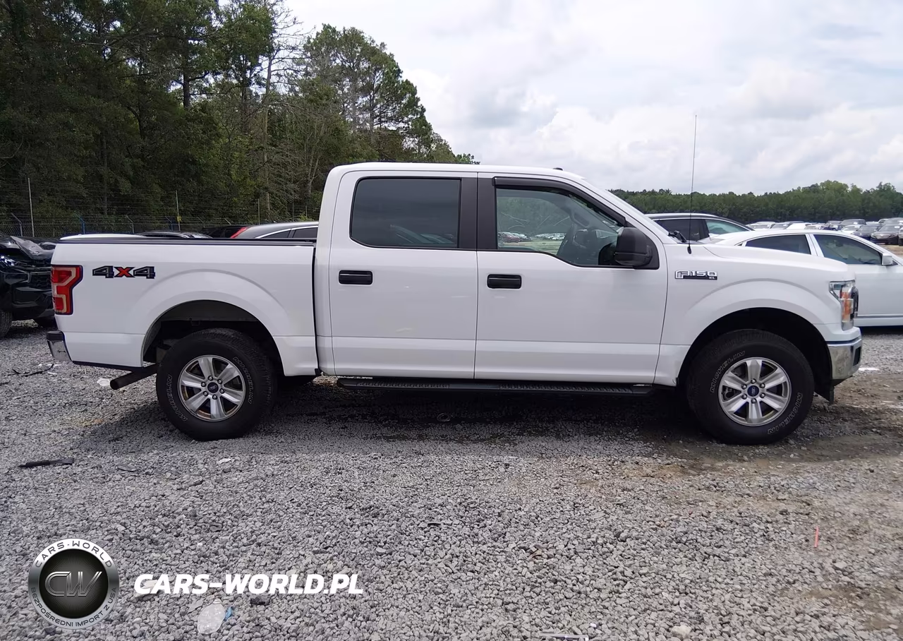 2019 Ford F-150 Xl VIN:1FTEW1EP9KFC29972 - 13