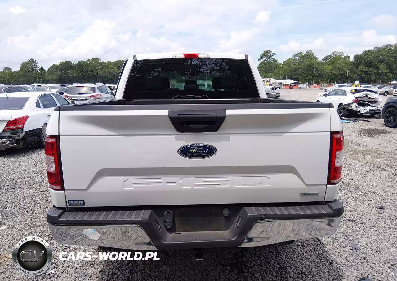 2019 Ford F-150 Xl VIN:1FTEW1EP9KFC29972 - 16
