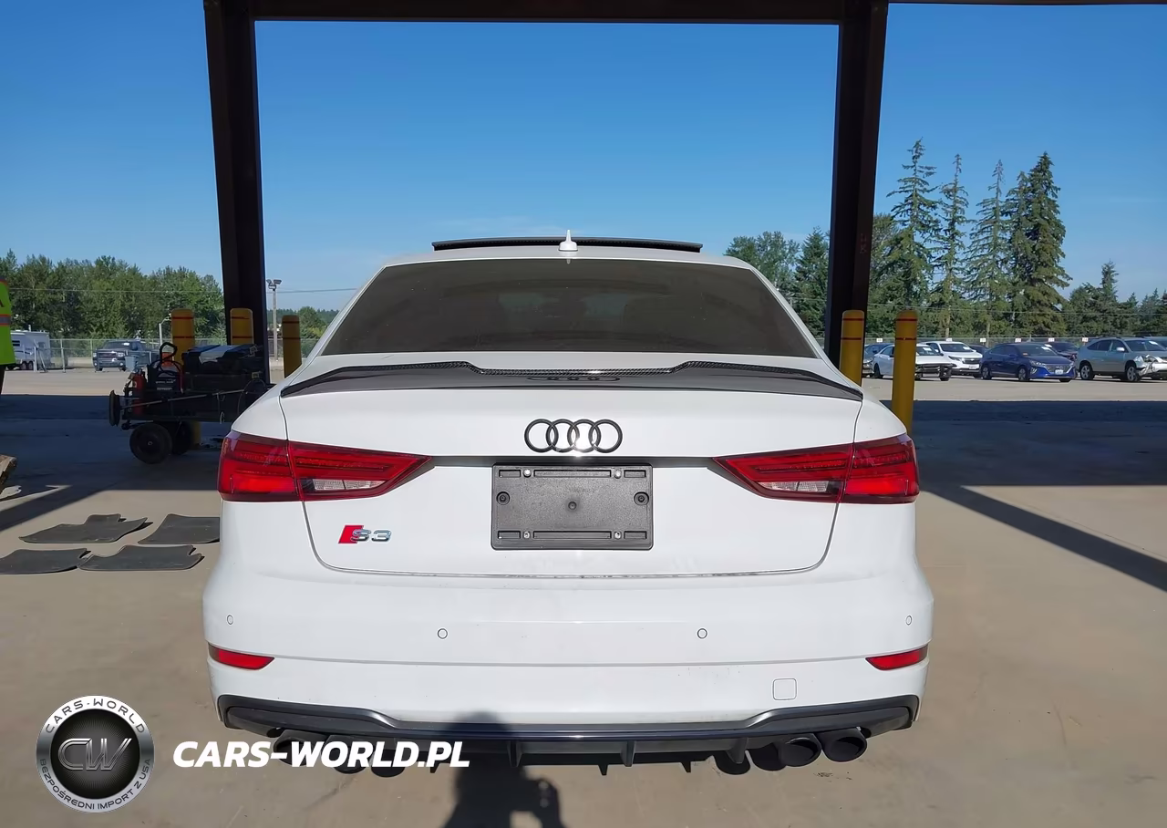 2018 Audi S3 2.0T Premium Plus-2.0T Tech Premium Plus VIN:WAUB1GFF8J1045979 - 16