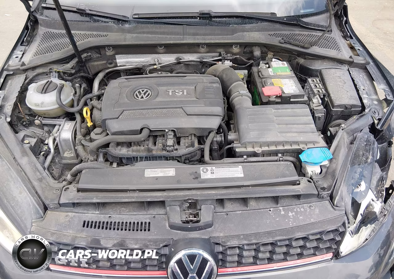 2015 Volkswagen Golf Gti 2.0T Se 4-Door VIN:3VW5T7AU7FM040649 - 10