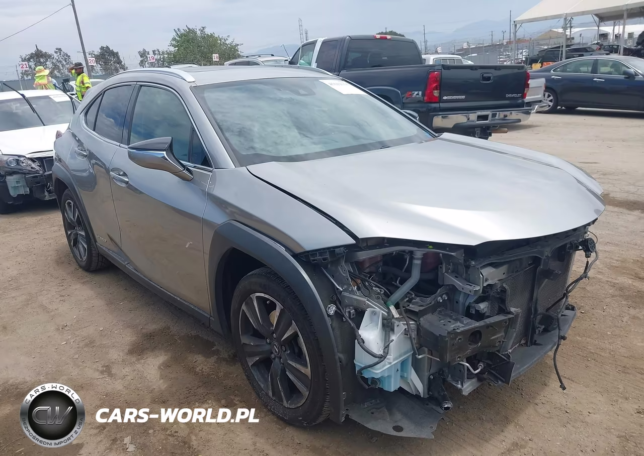 2019 Lexus Ux 250H