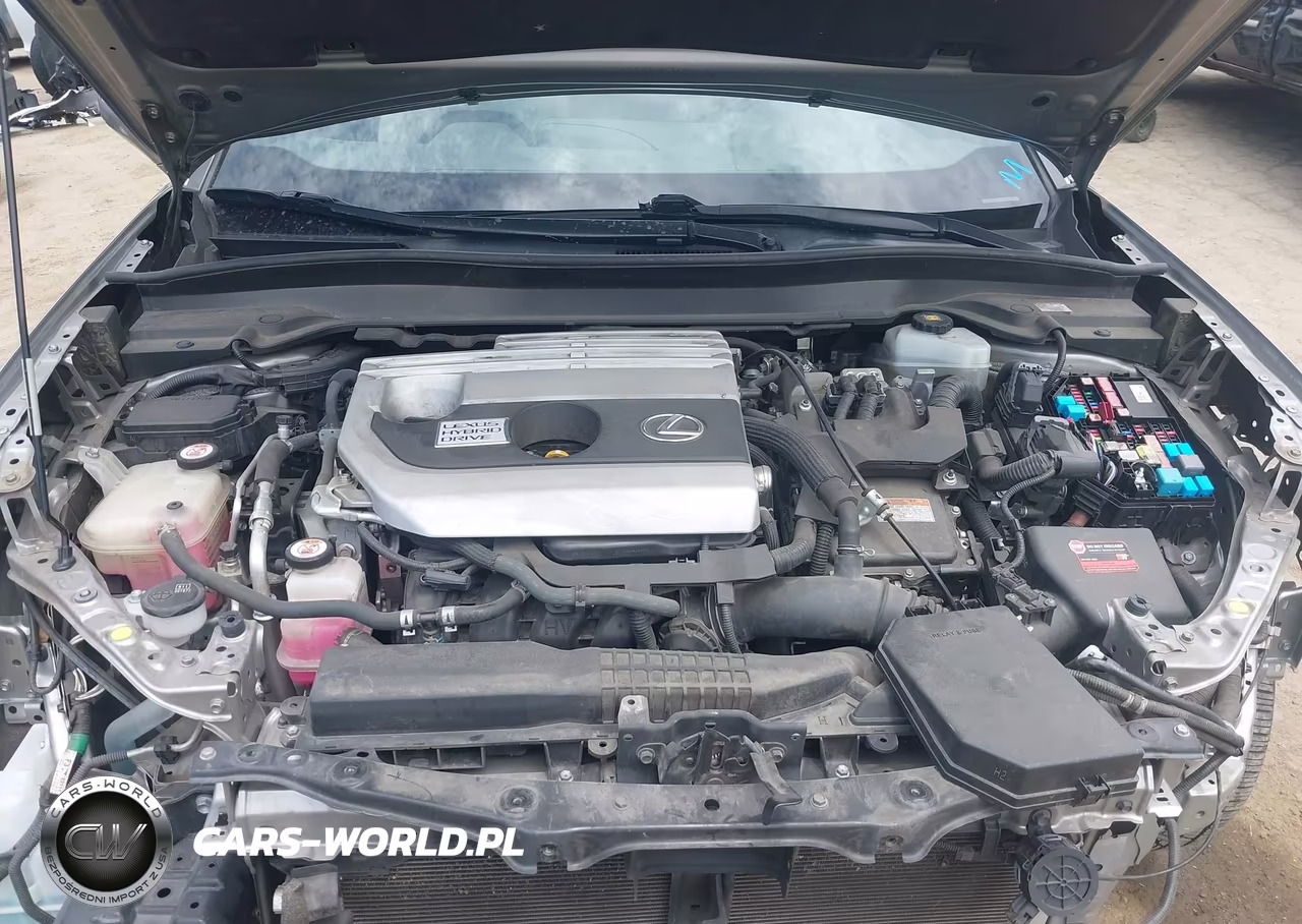 2019 Lexus Ux 250H VIN:JTHU9JBH2K2015279 - 10