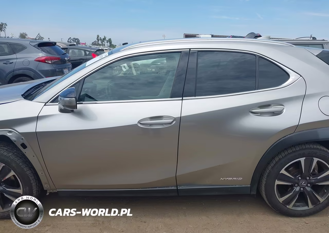 2019 Lexus Ux 250H VIN:JTHU9JBH2K2015279 - 15