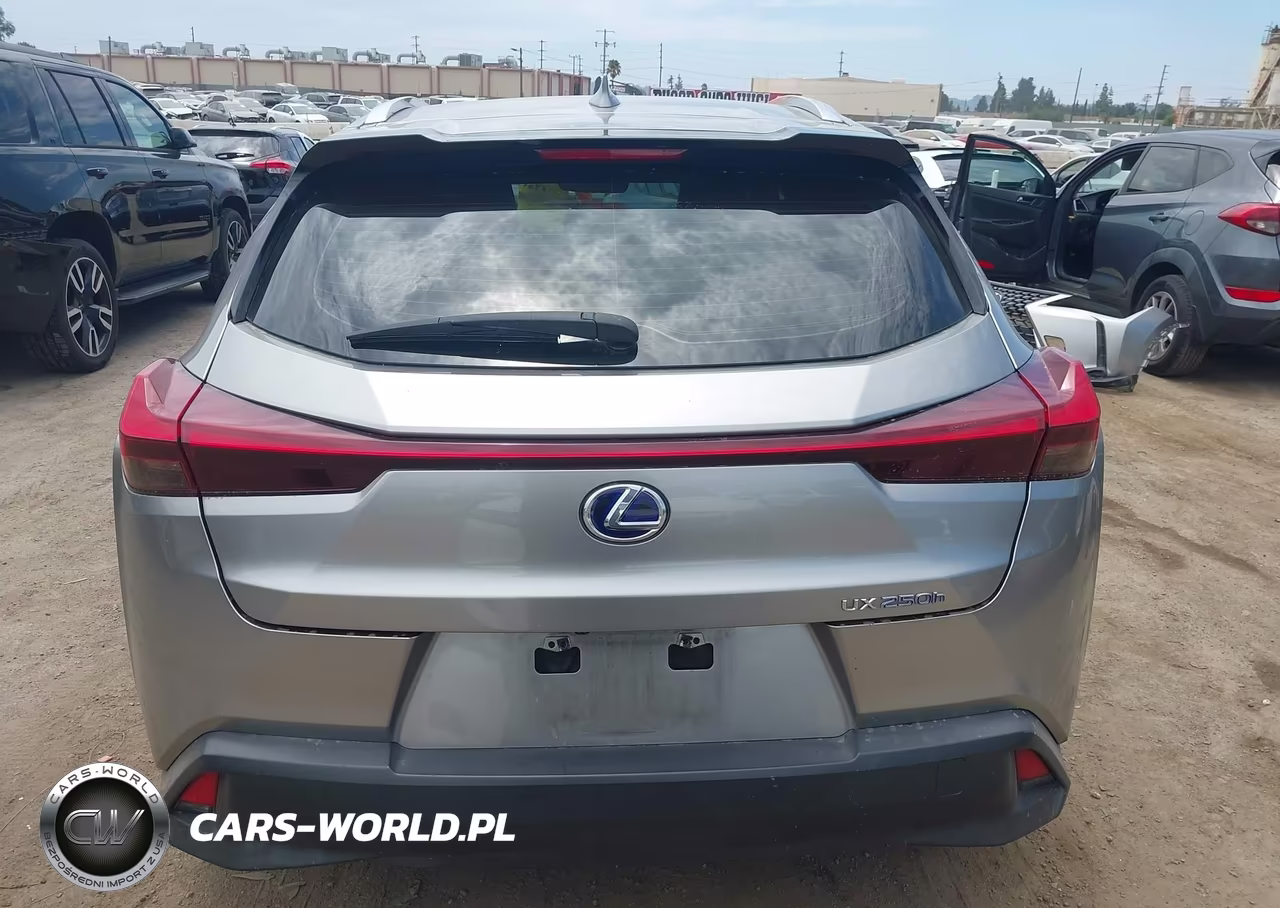 2019 Lexus Ux 250H VIN:JTHU9JBH2K2015279 - 17