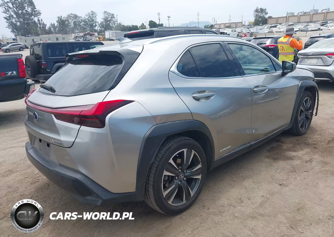 2019 Lexus Ux 250H VIN:JTHU9JBH2K2015279 - 4