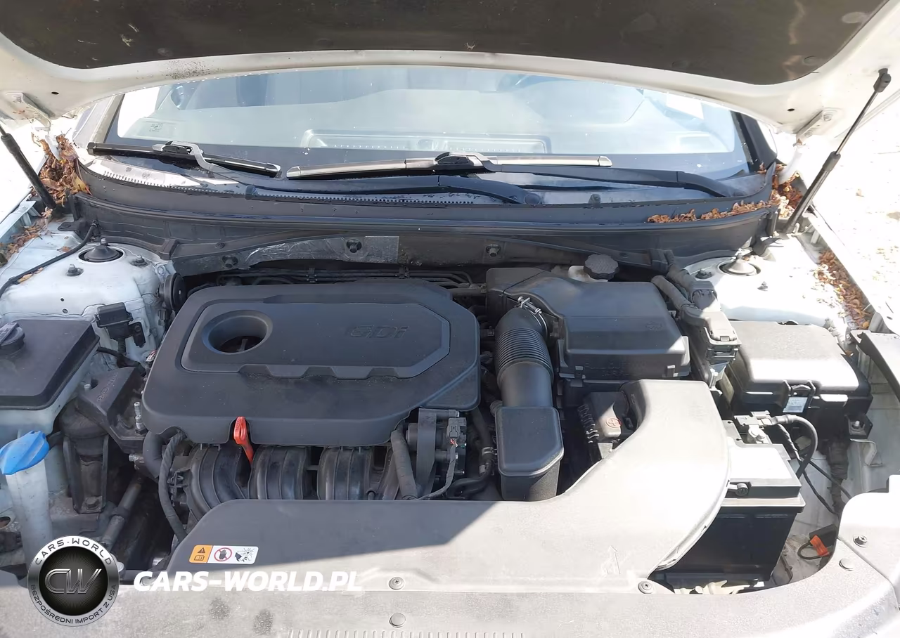 2016 Hyundai Sonata Se VIN:5NPE24AF3GH396951 - 10