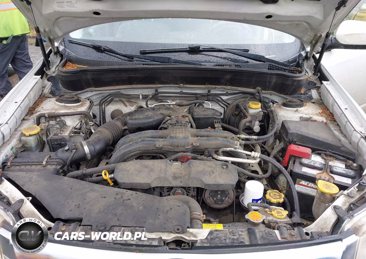 2011 Subaru Forester 2.5X Premium VIN:JF2SHBCC4BH742748 - 10