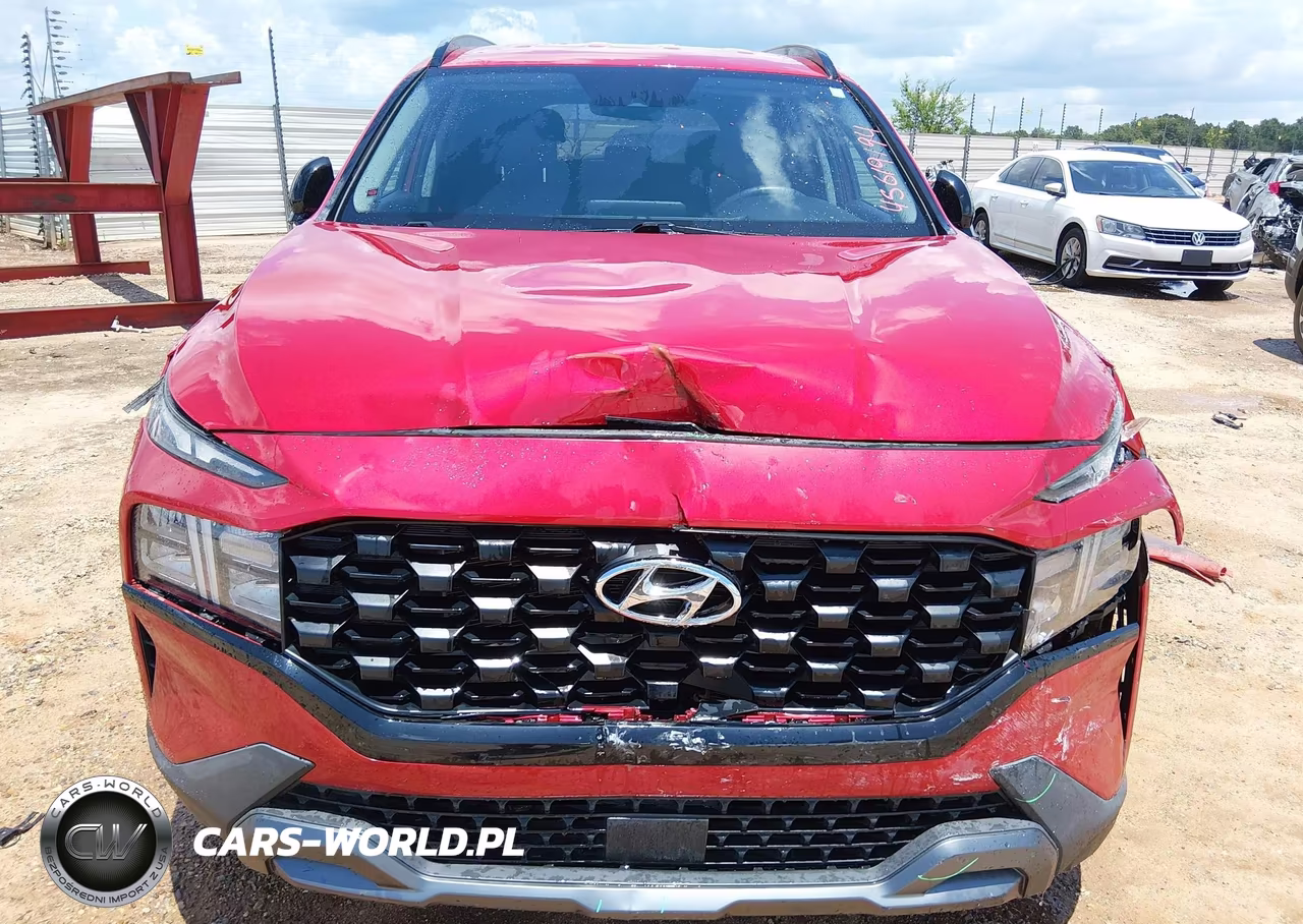 2023 Hyundai Santa Fe Xrt VIN:5NMS64AJ1PH493915 - 12