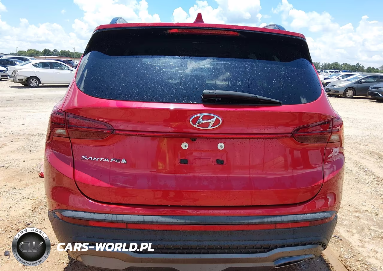 2023 Hyundai Santa Fe Xrt VIN:5NMS64AJ1PH493915 - 16