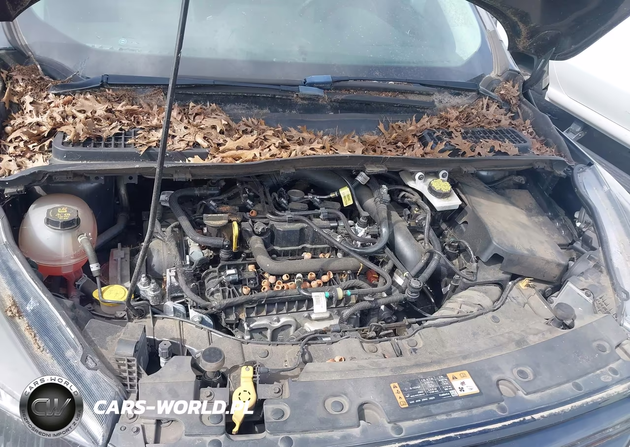 2019 Ford Escape Sel VIN:1FMCU0HD2KUB93736 - 10