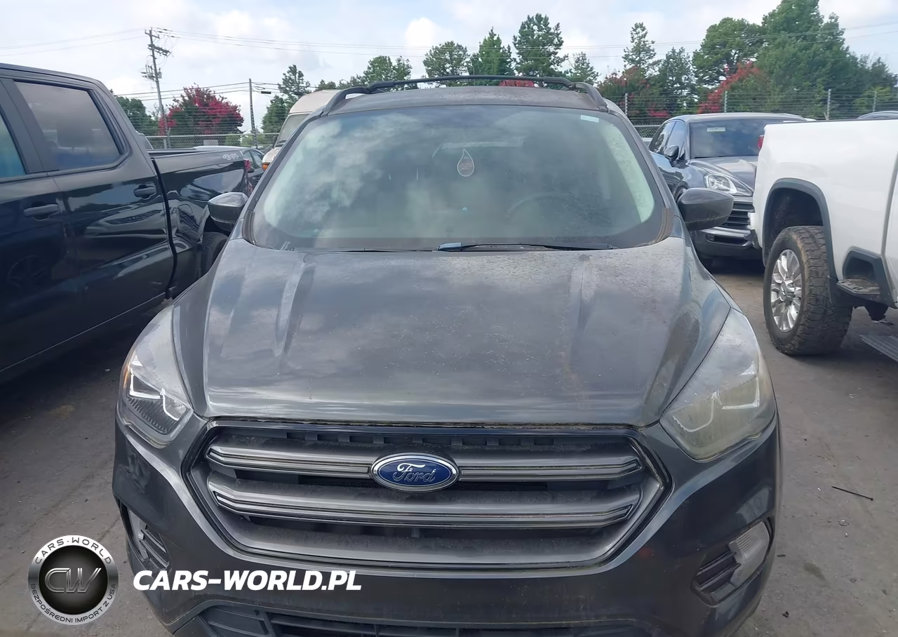 2019 Ford Escape Sel VIN:1FMCU0HD2KUB93736 - 12