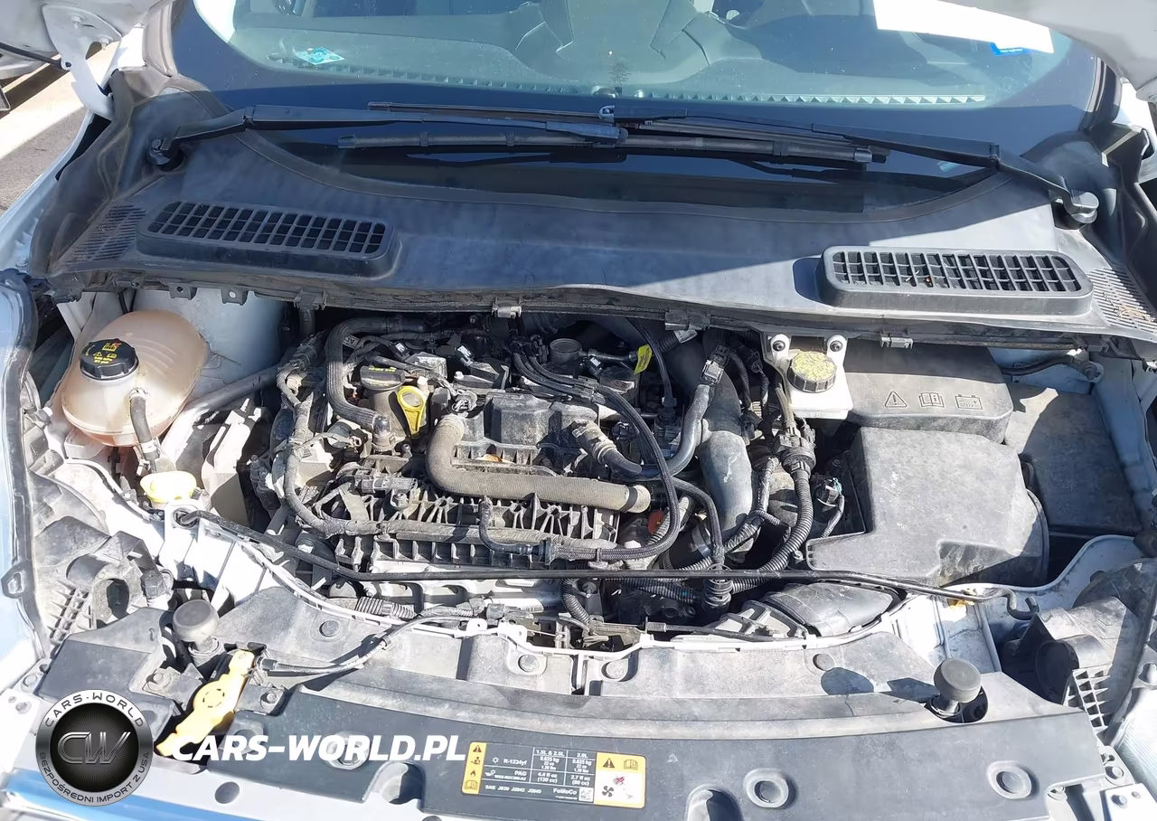 2019 Ford Escape Se VIN:1FMCU0GD4KUA05039 - 10