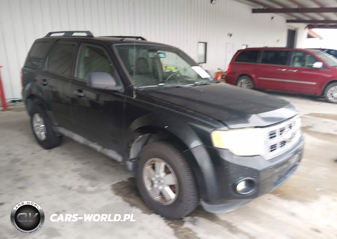 2010 Ford Escape Xlt