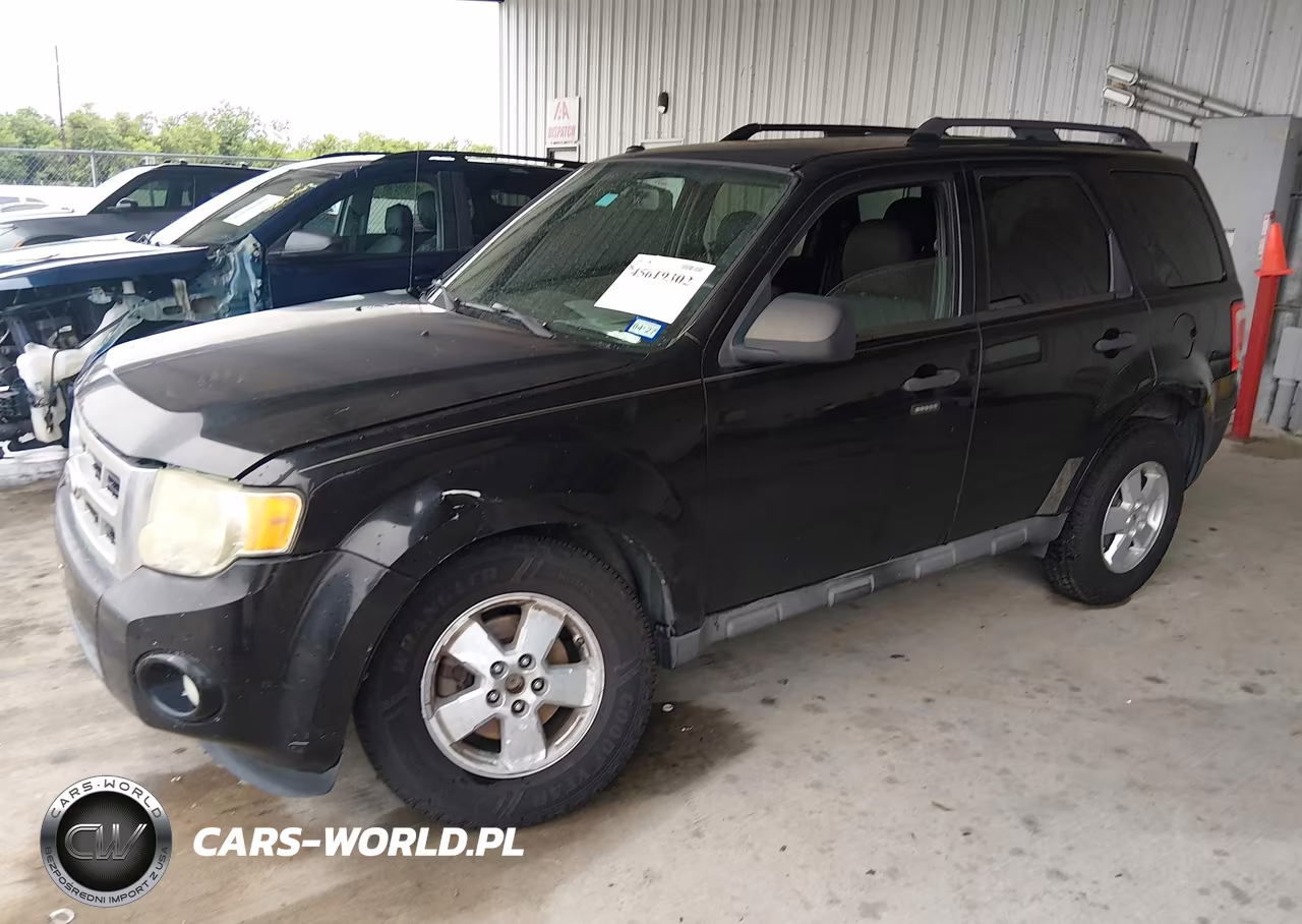 2010 Ford Escape Xlt VIN:1FMCU0DG6AKB66260 - 2