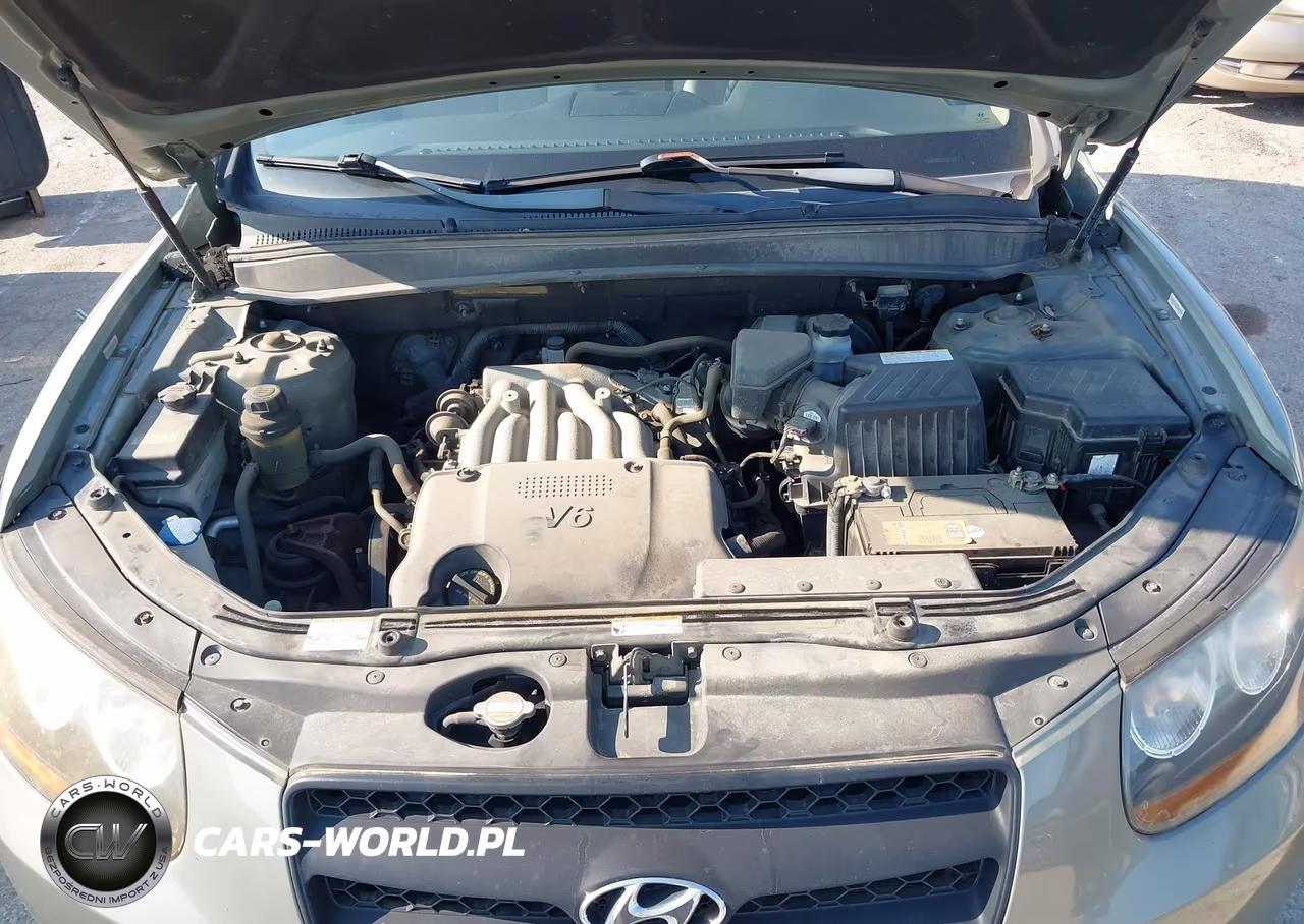 2008 Hyundai Santa Fe Gls VIN:5NMSG13D28H226089 - 10