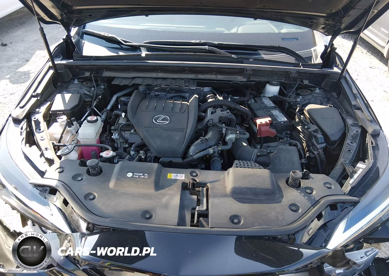 2023 Lexus Nx 350 VIN:2T2AGCEZ6PC029510 - 10