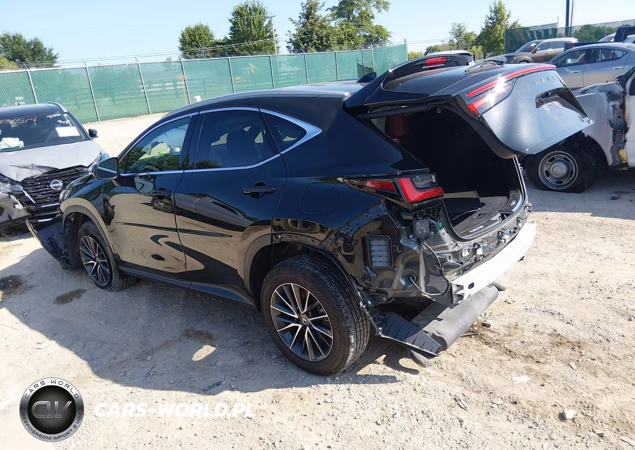 2023 Lexus Nx 350 VIN:2T2AGCEZ6PC029510 - 3