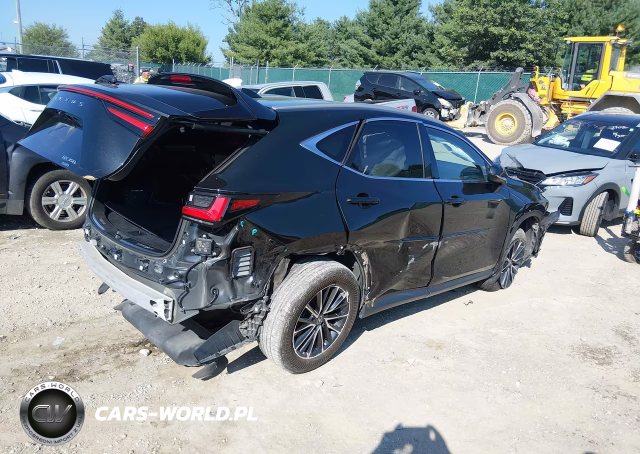 2023 Lexus Nx 350 VIN:2T2AGCEZ6PC029510 - 4