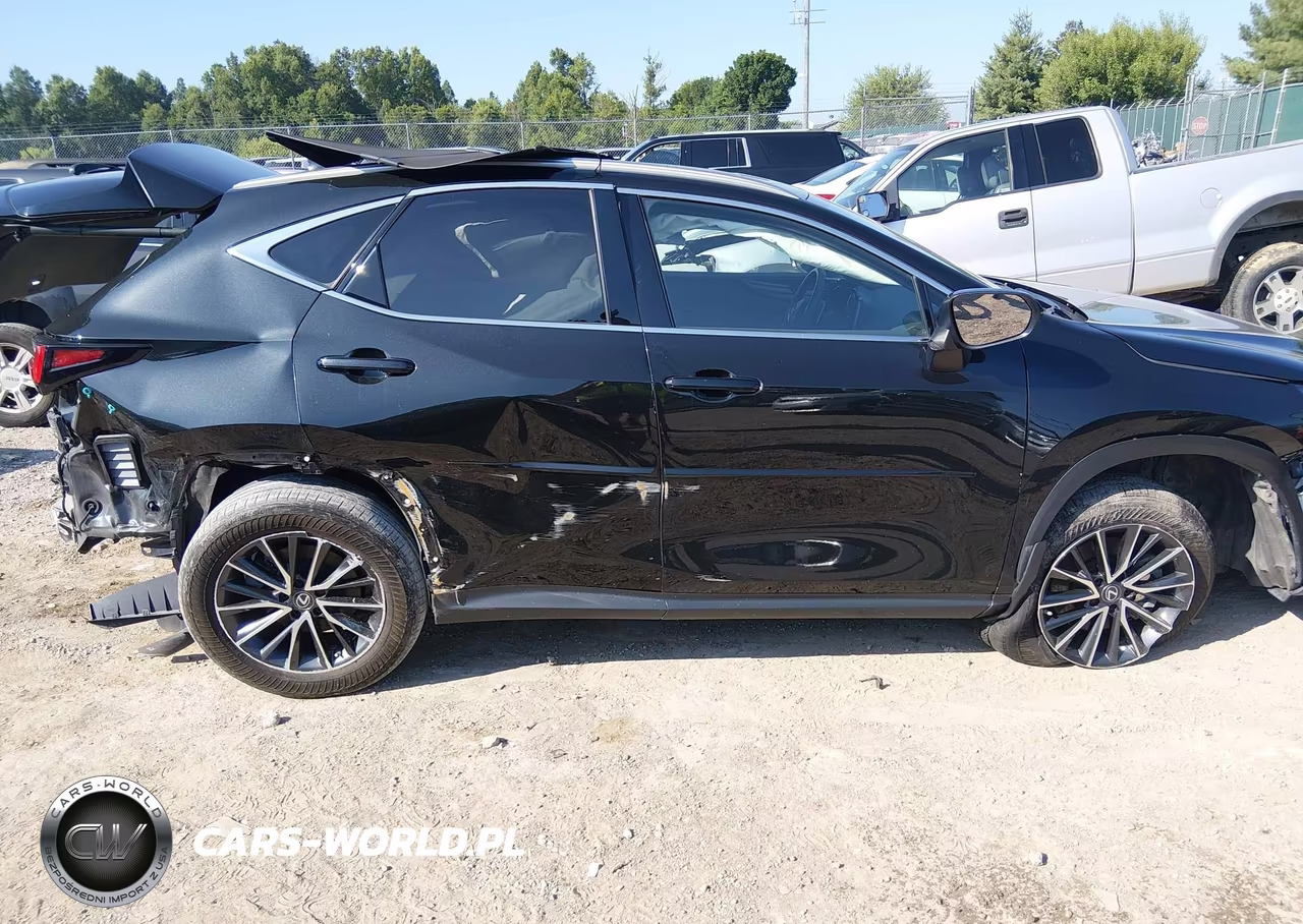 2023 Lexus Nx 350 VIN:2T2AGCEZ6PC029510 - 6