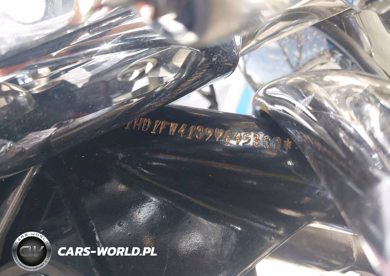 2009 Harley-Davidson Flhr VIN:1HD1FW4139Y645330 - 10