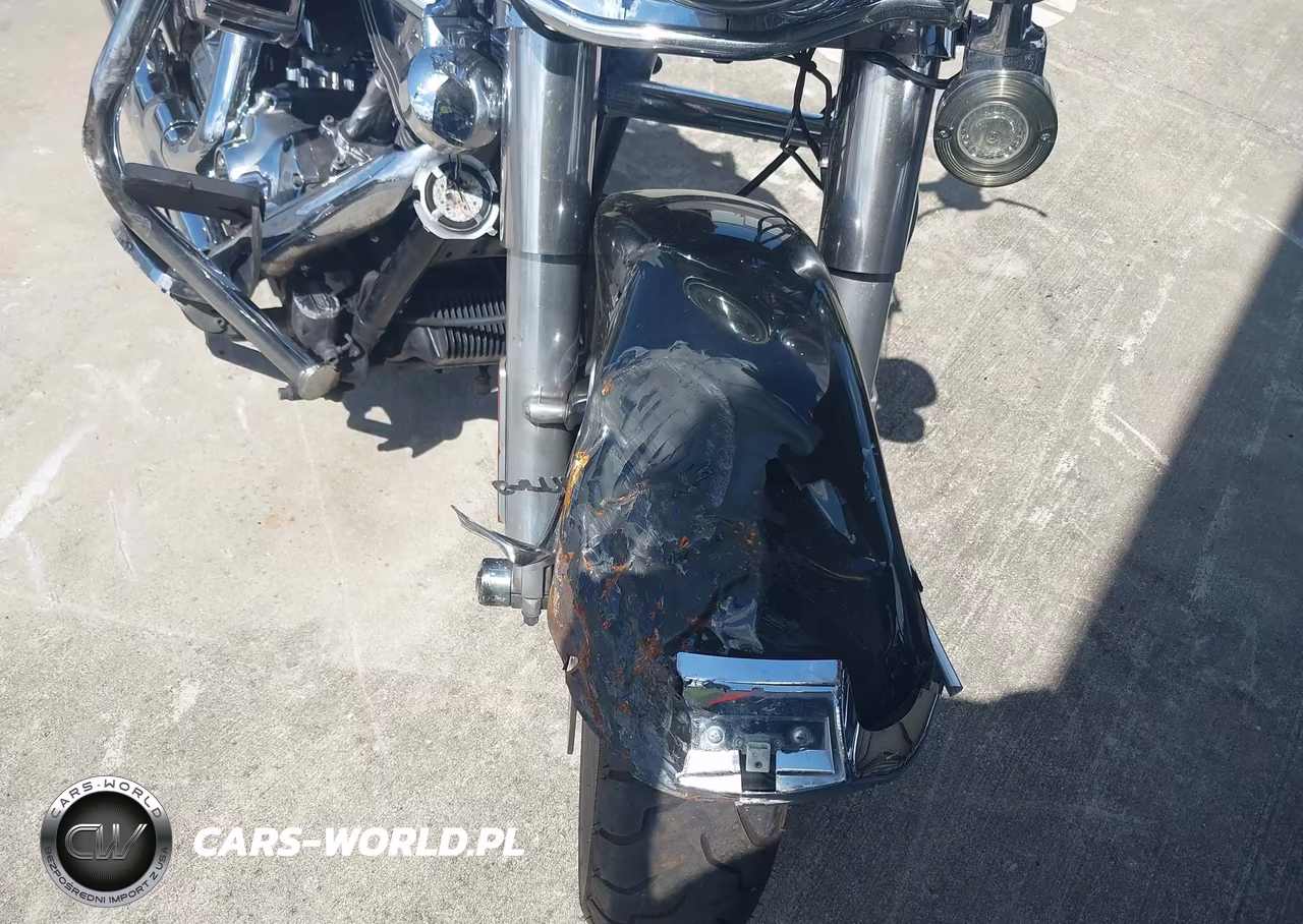 2009 Harley-Davidson Flhr VIN:1HD1FW4139Y645330 - 14