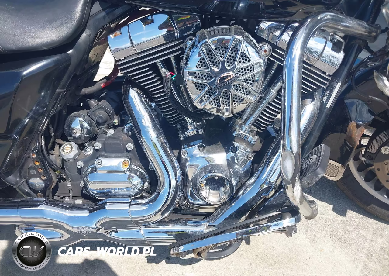 2009 Harley-Davidson Flhr VIN:1HD1FW4139Y645330 - 8