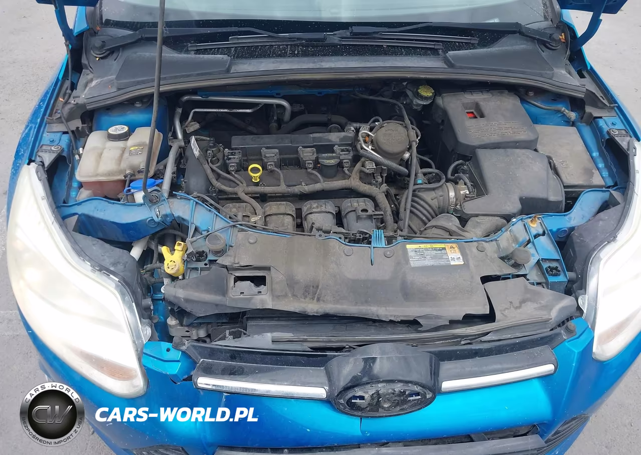 2012 Ford Focus Sel VIN:1FAHP3M2XCL274049 - 10