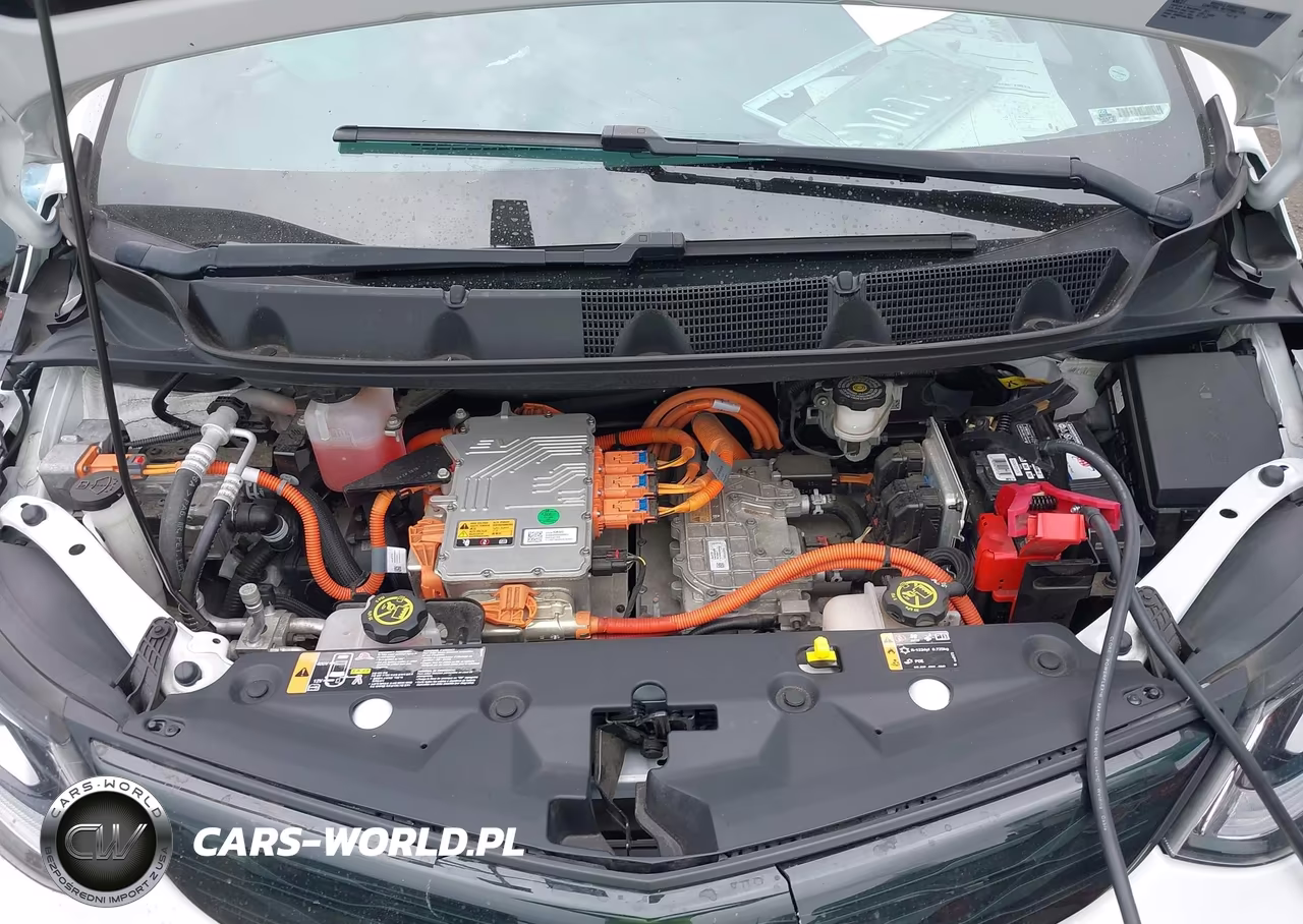 2017 Chevrolet Bolt Ev Premier VIN:1G1FX6S01H4135863 - 10