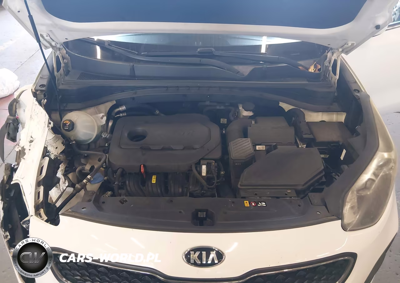 2017 Kia Sportage Lx VIN:KNDPM3AC2H7114047 - 10