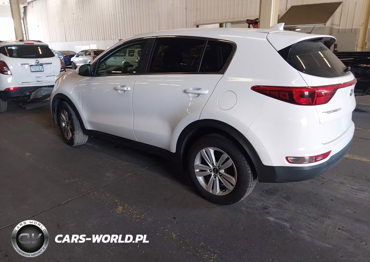 2017 Kia Sportage Lx VIN:KNDPM3AC2H7114047 - 3
