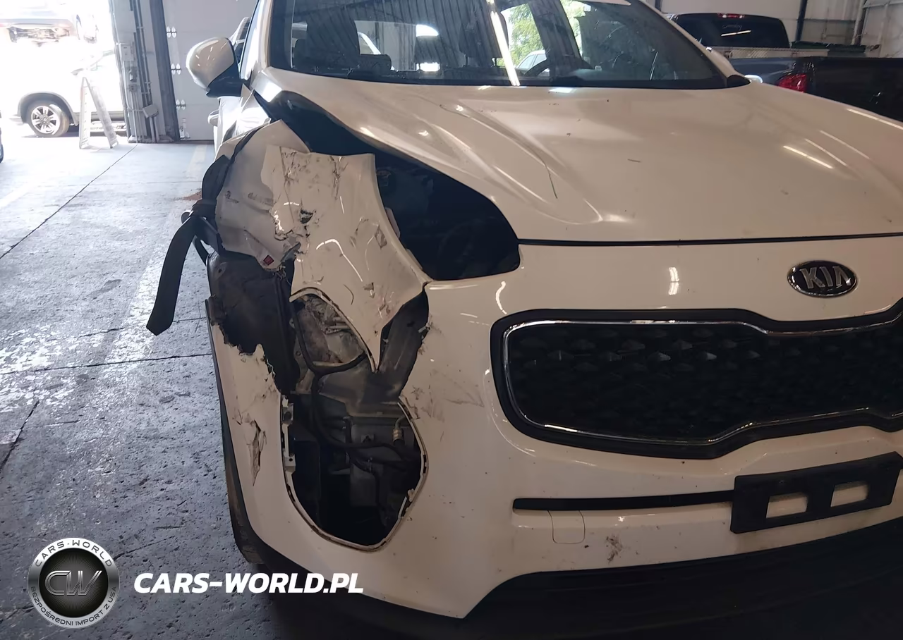 2017 Kia Sportage Lx VIN:KNDPM3AC2H7114047 - 6