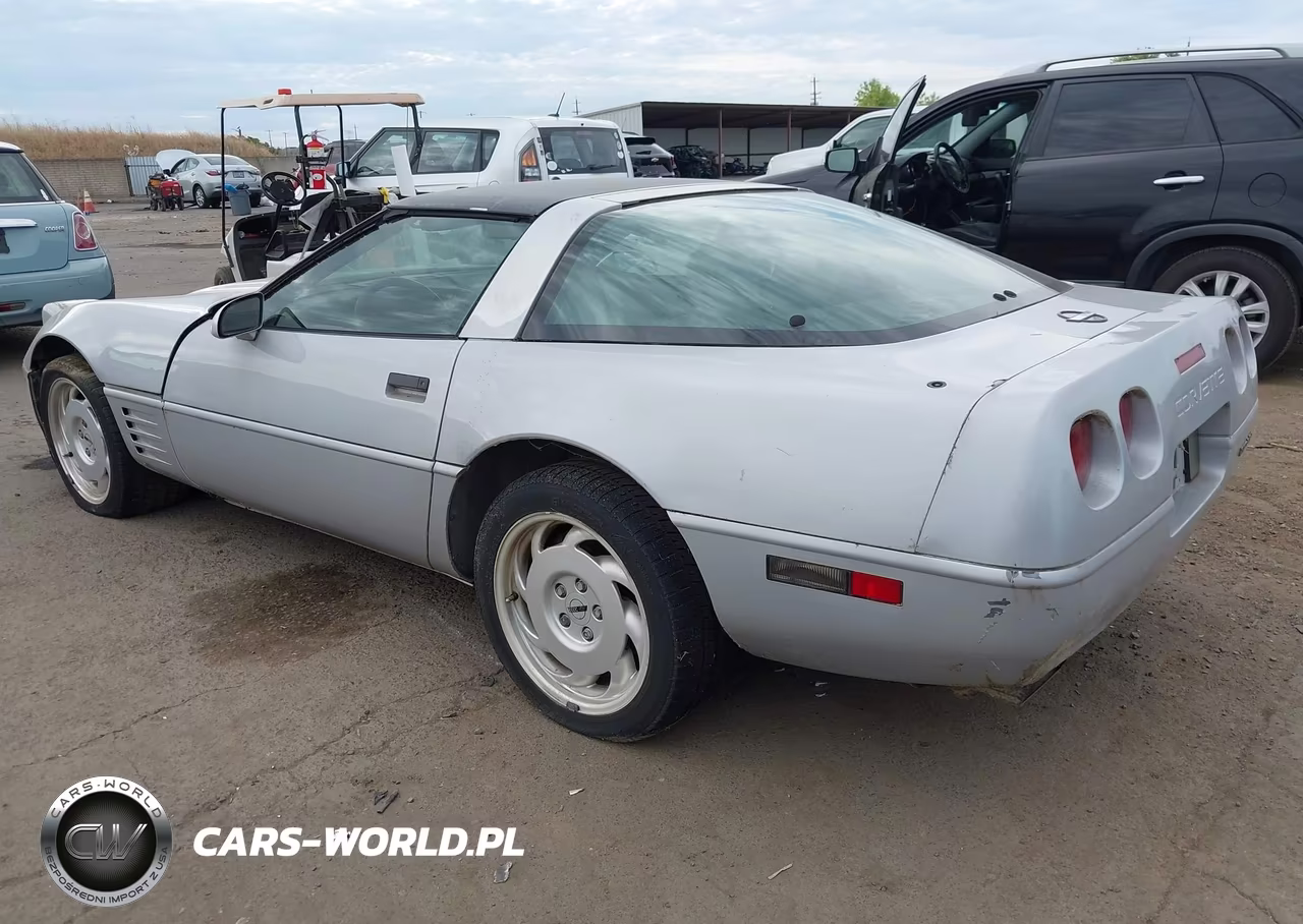 1992 Chevrolet Corvette VIN:1G1YY23PXN5106913 - 3