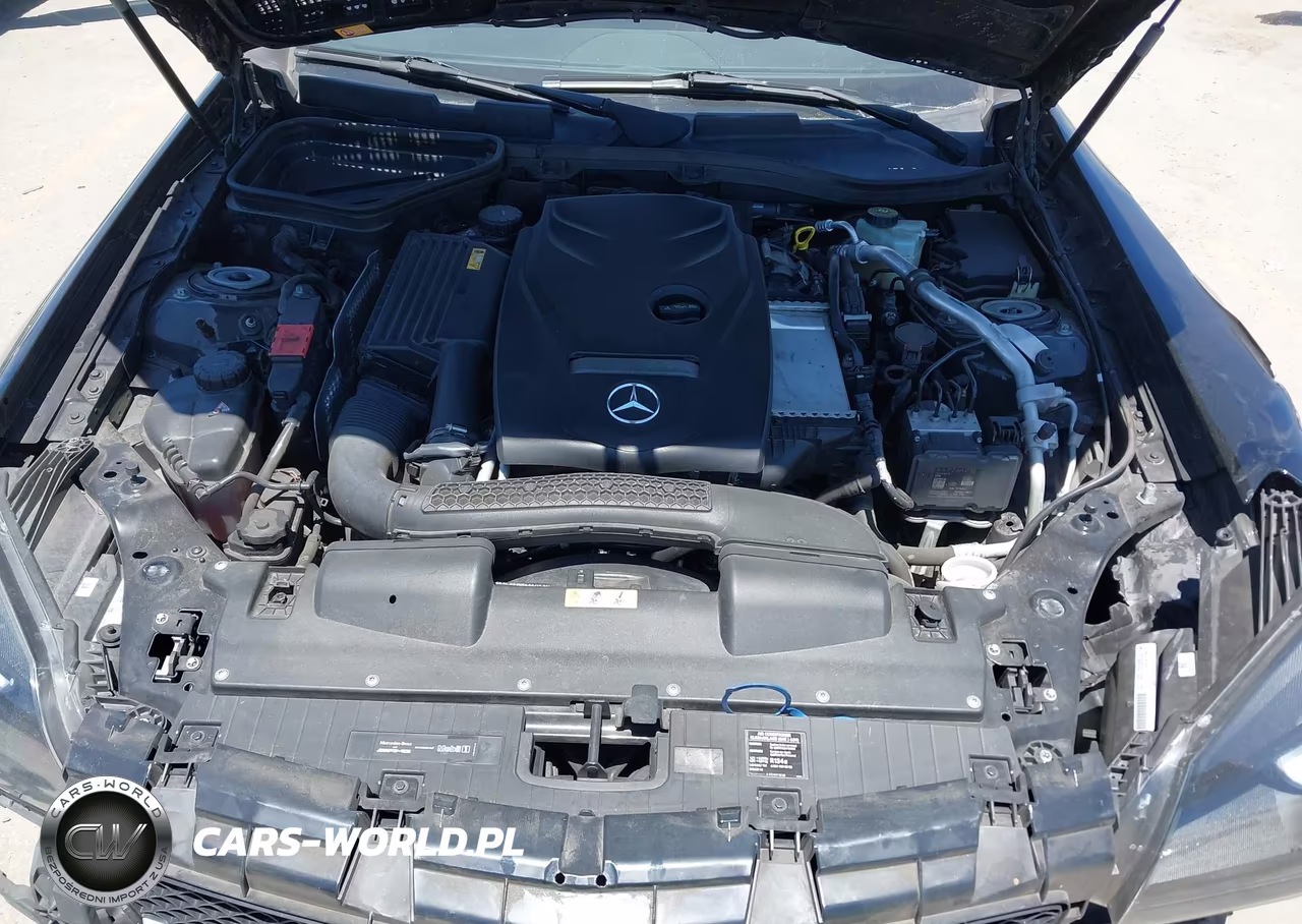 2016 Mercedes-Benz Slk 300 VIN:WDDPK3JA2GF124737 - 10