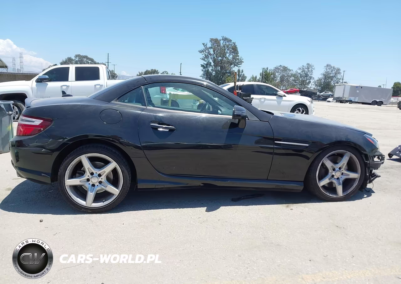 2016 Mercedes-Benz Slk 300 VIN:WDDPK3JA2GF124737 - 14