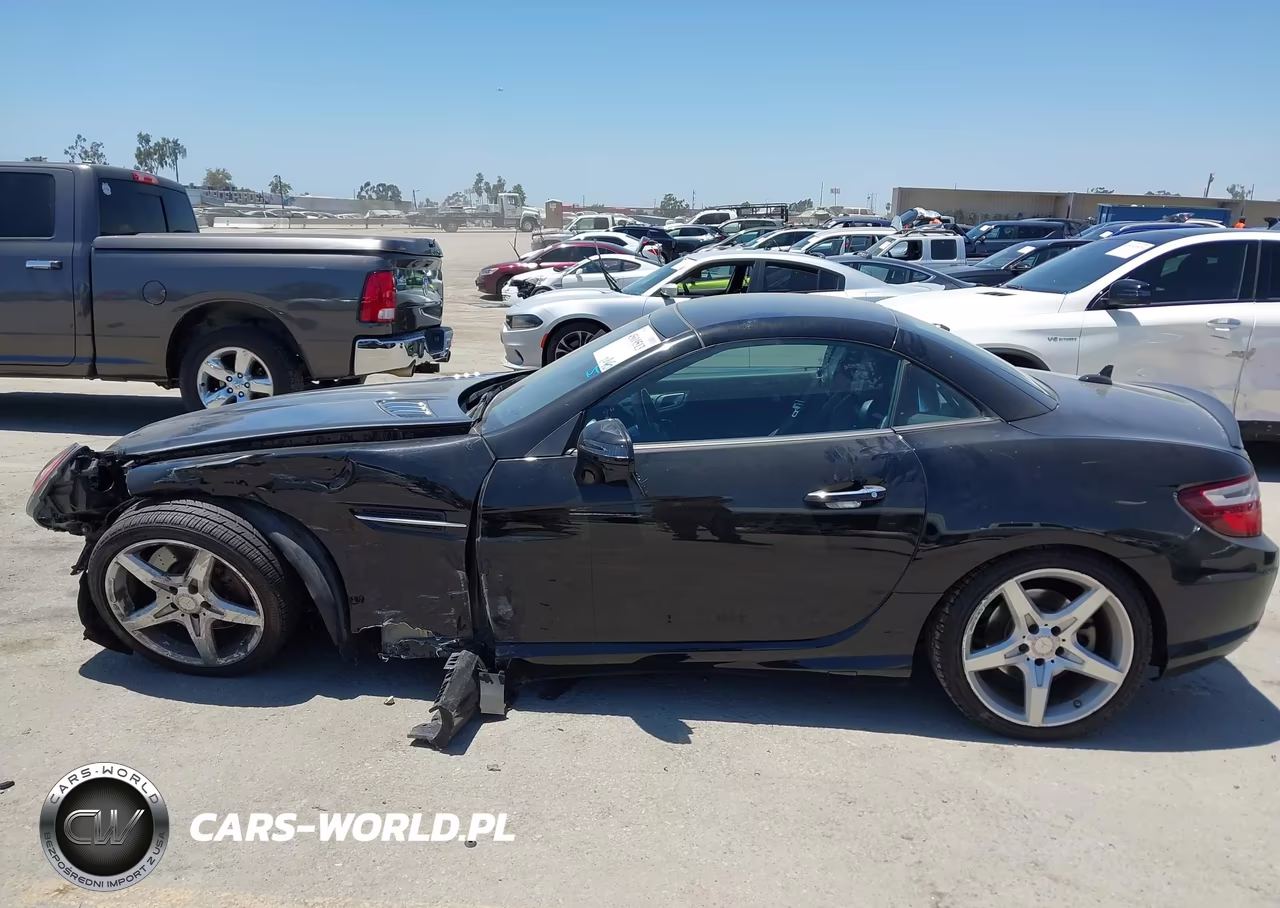2016 Mercedes-Benz Slk 300 VIN:WDDPK3JA2GF124737 - 15