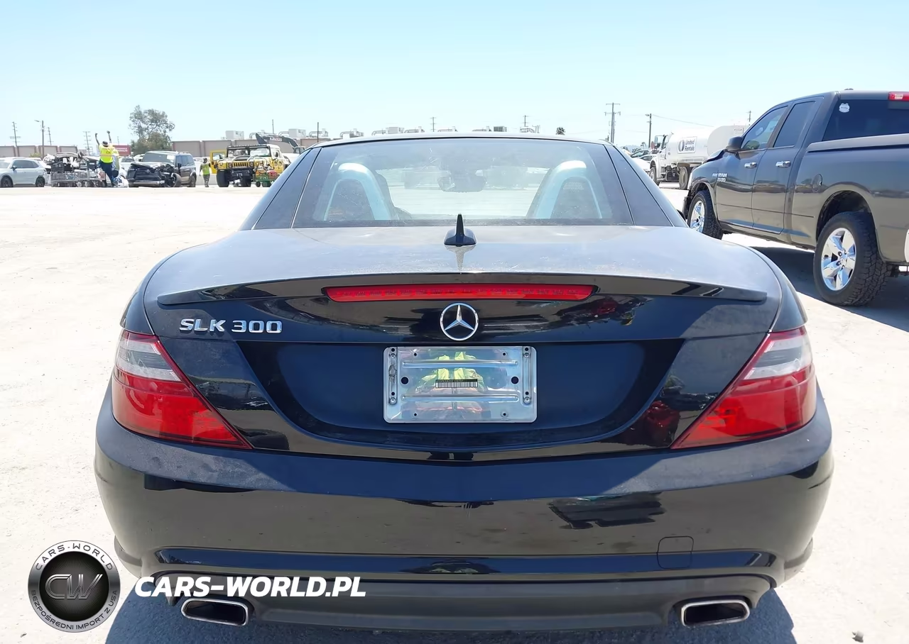2016 Mercedes-Benz Slk 300 VIN:WDDPK3JA2GF124737 - 17
