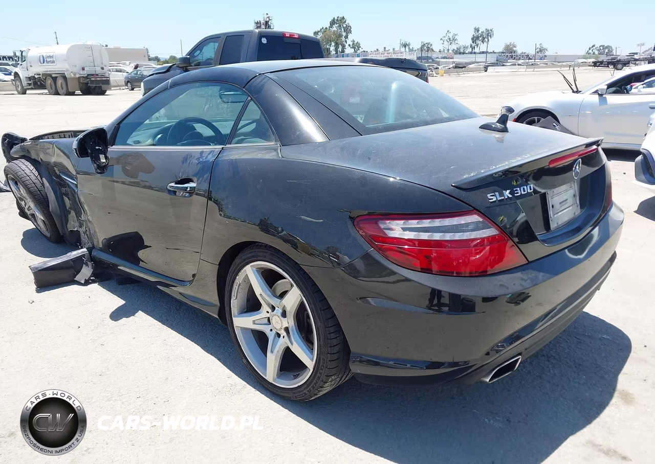2016 Mercedes-Benz Slk 300 VIN:WDDPK3JA2GF124737 - 3