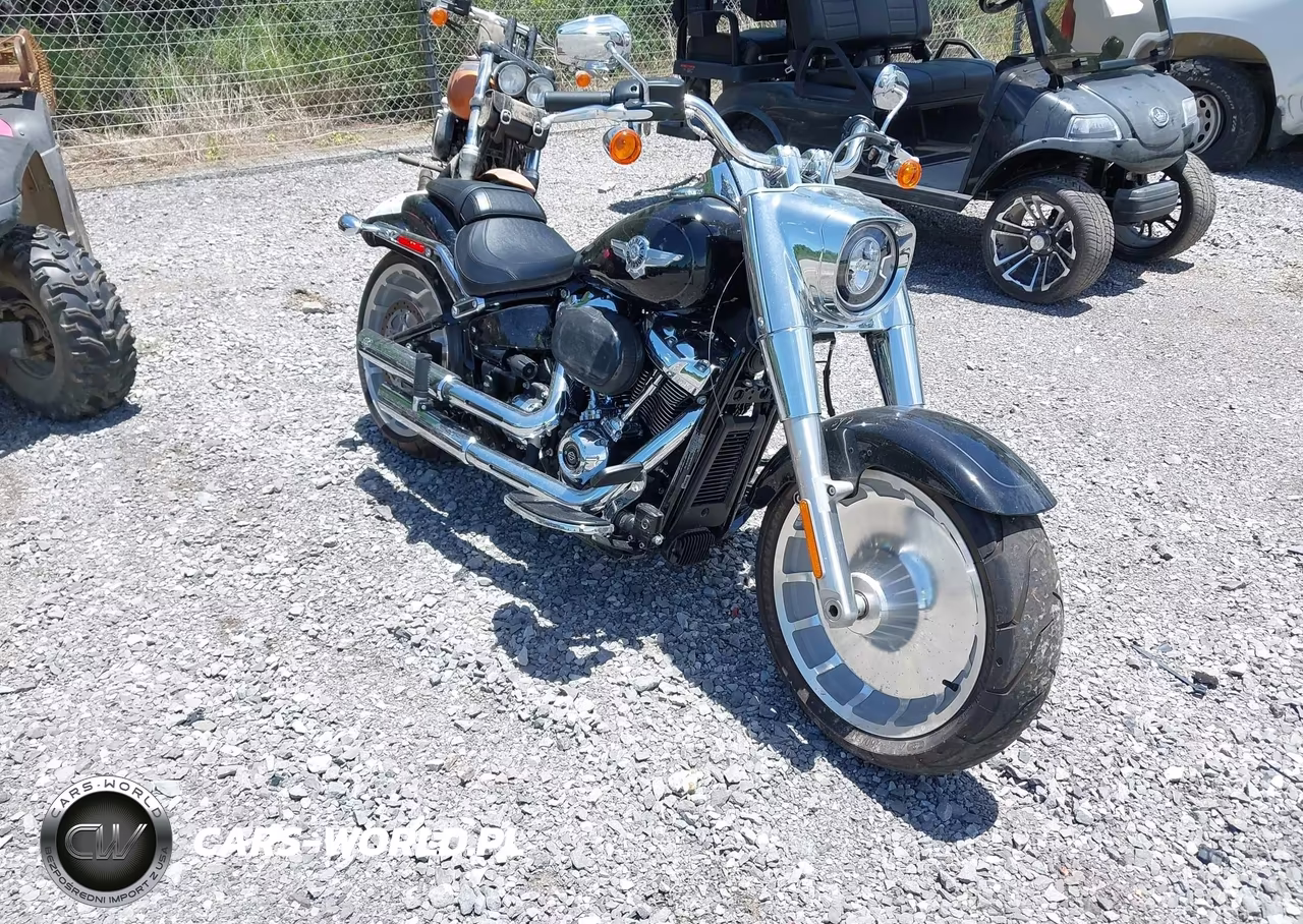 2021 Harley-Davidson Flfbs