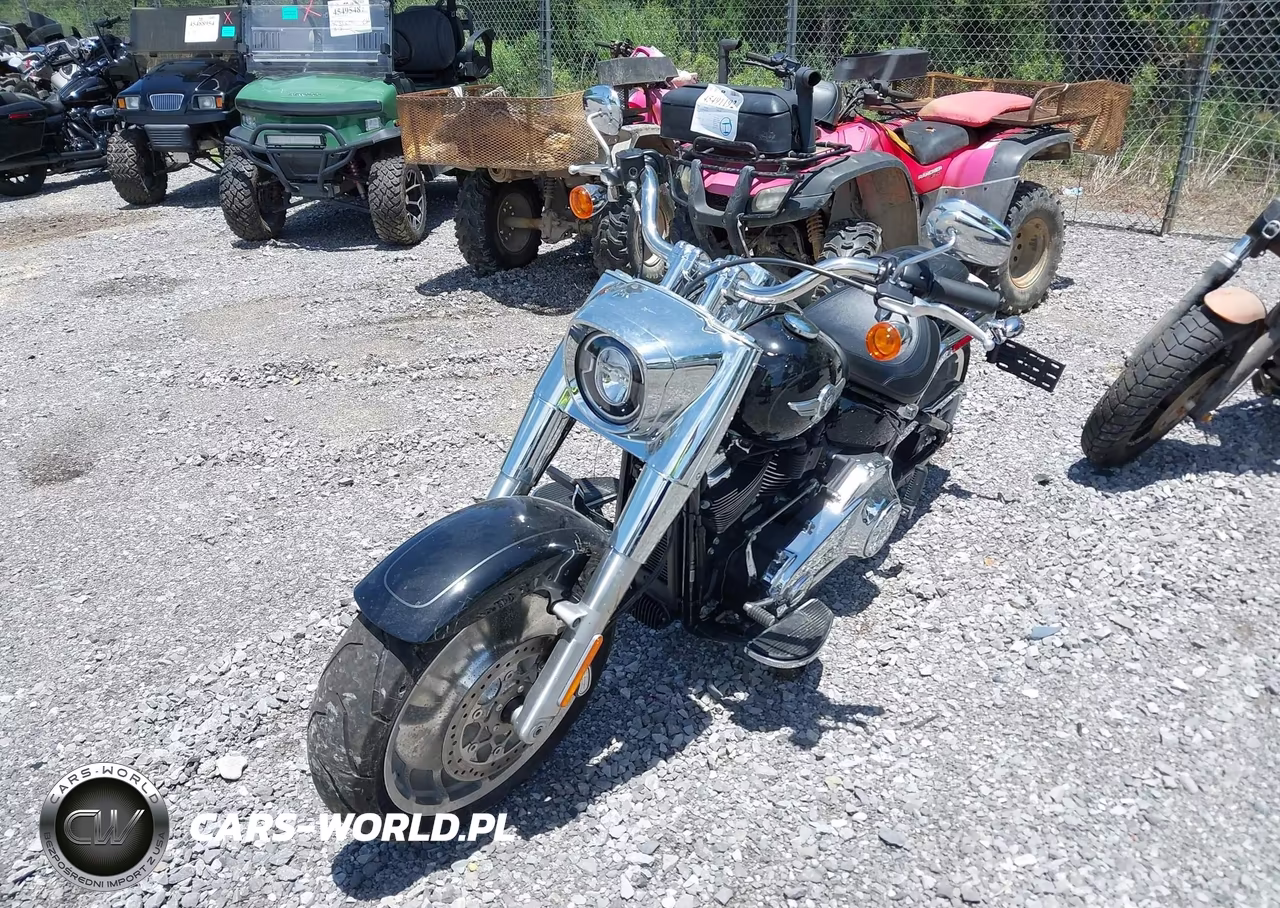 2021 Harley-Davidson Flfbs VIN:1HD1YGK14MB043387 - 2