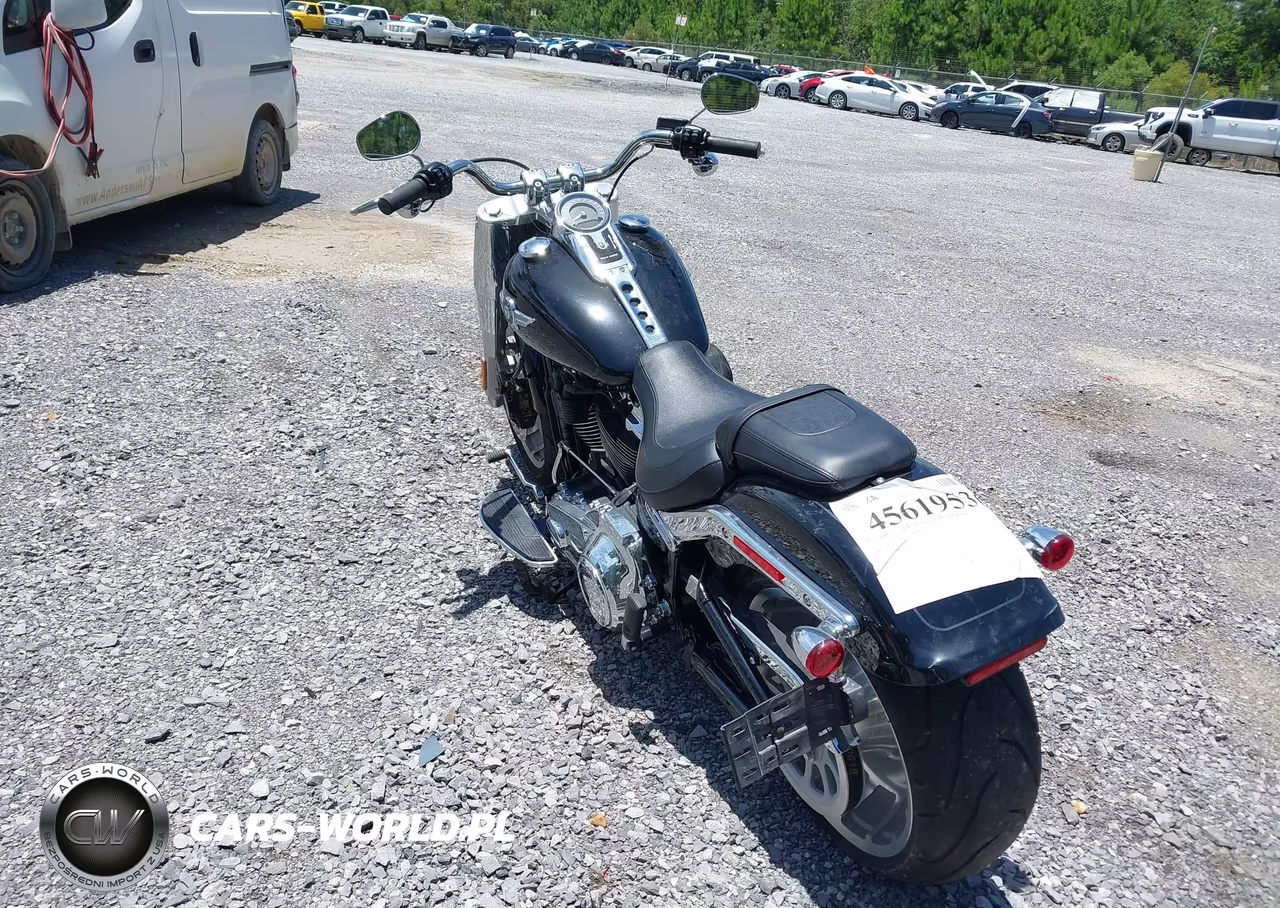 2021 Harley-Davidson Flfbs VIN:1HD1YGK14MB043387 - 3