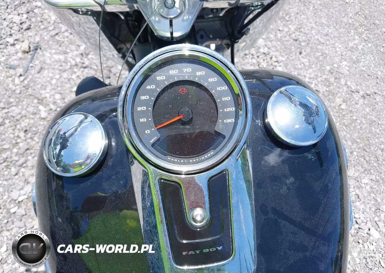 2021 Harley-Davidson Flfbs VIN:1HD1YGK14MB043387 - 7