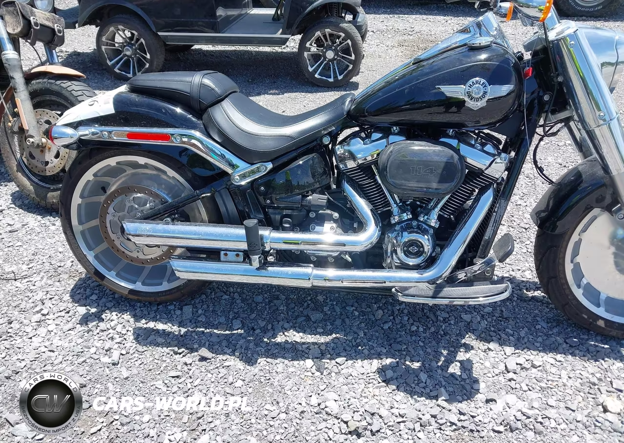 2021 Harley-Davidson Flfbs VIN:1HD1YGK14MB043387 - 8