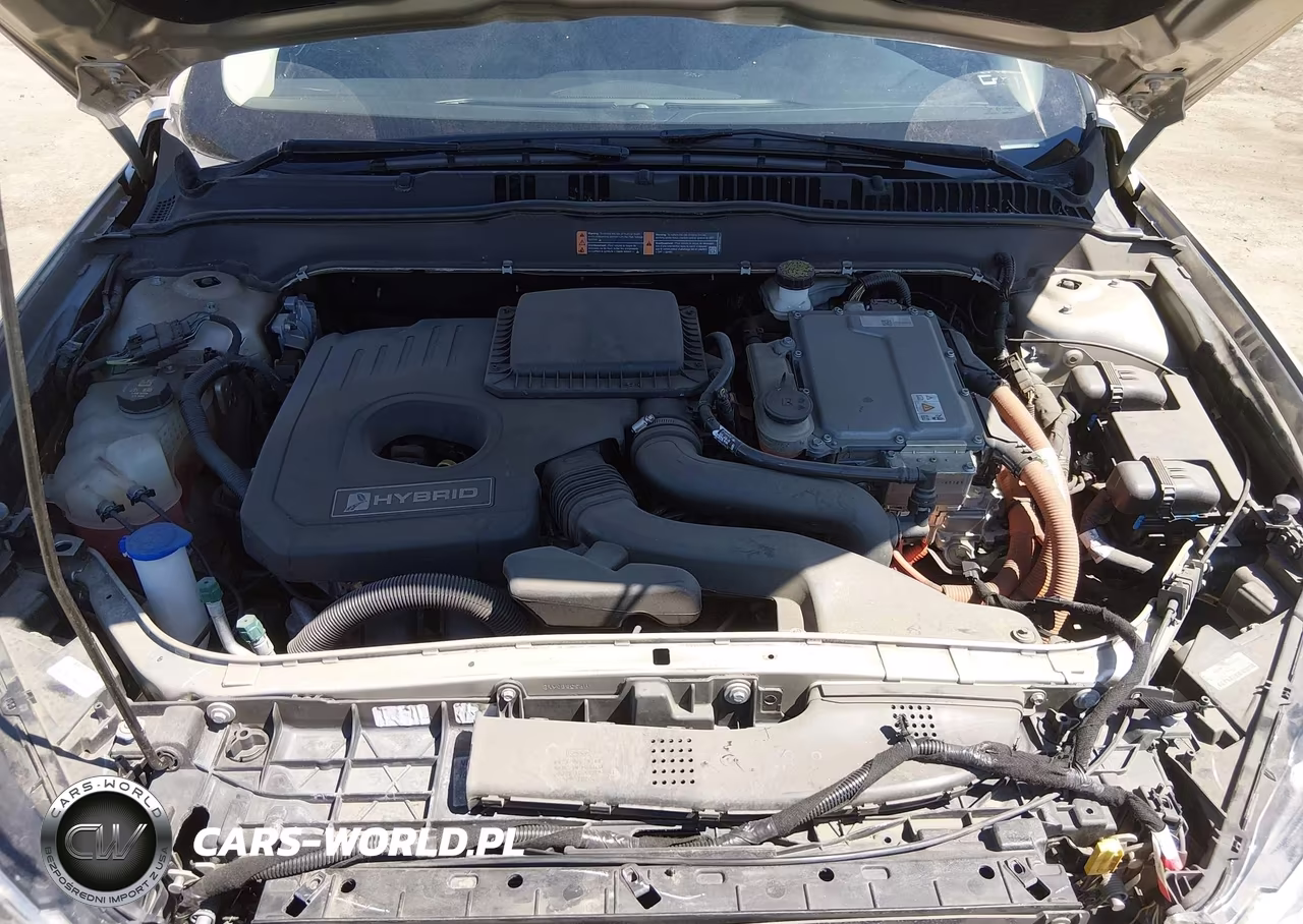 2017 Ford Fusion Hybrid Se VIN:3FA6P0LU0HR275616 - 10