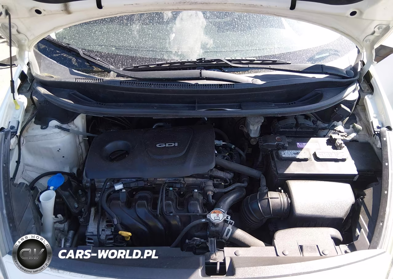 2017 Kia Rio Lx VIN:KNADM4A35H6035497 - 10
