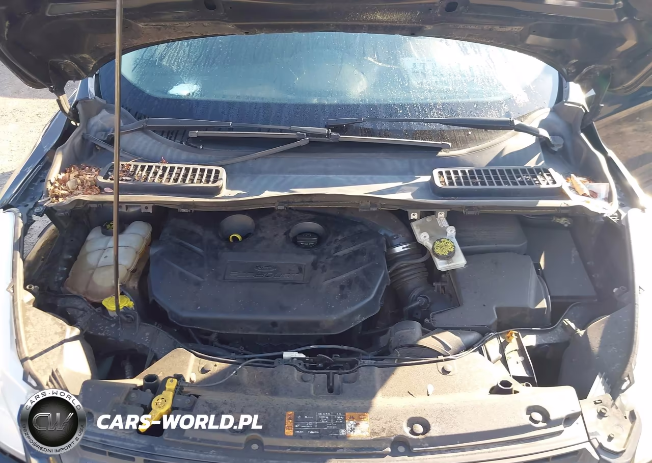 2014 Ford Escape Se VIN:1FMCU0G95EUD21999 - 10